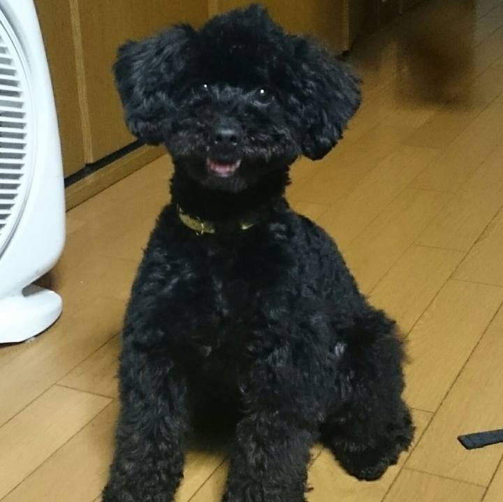 5a71f620 d1a0 43ca a883 3e1e60ae5296