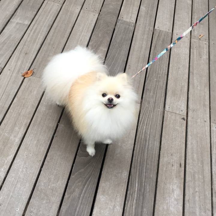 5a7261d2 1b7c 46da 9ec8 f35bbc5e9aeb