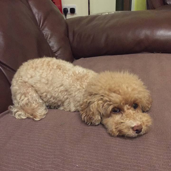 5a72d185 56db 4a2e 9325 088635b7a13a