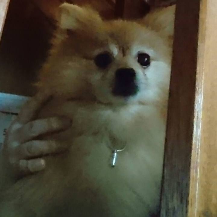 5a73322a 3e78 4108 8c22 5f04c515ff35