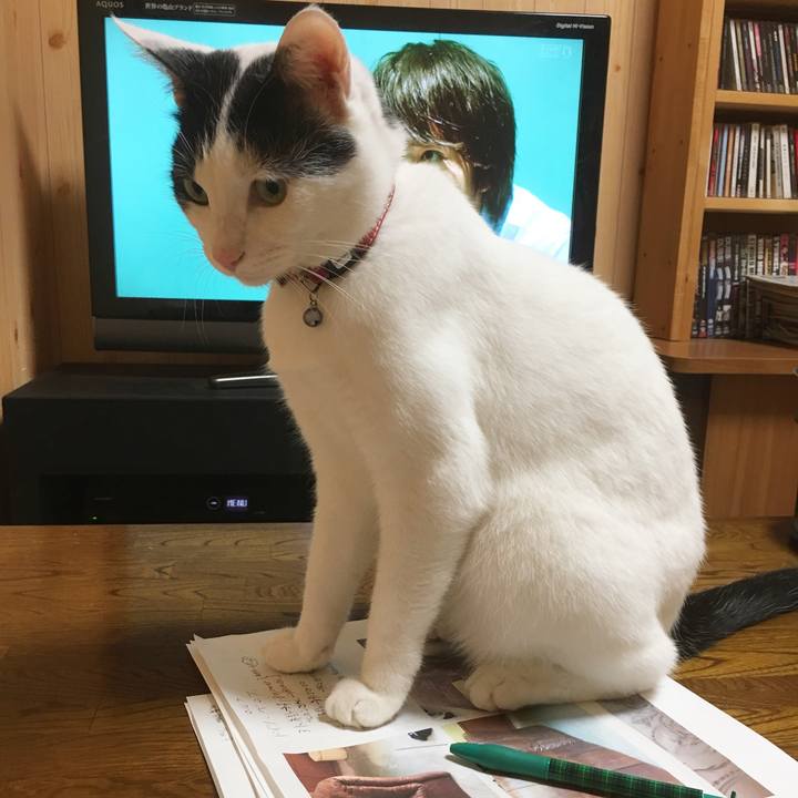 5a73b9b5 c422 4c1a bd67 671cbee1db00