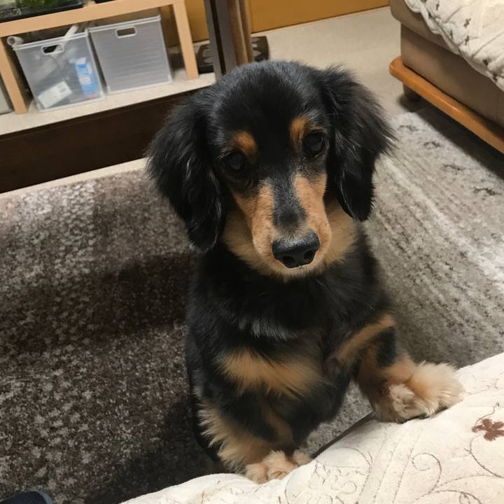 5a743c60 e298 4436 8894 ef3d0c406019