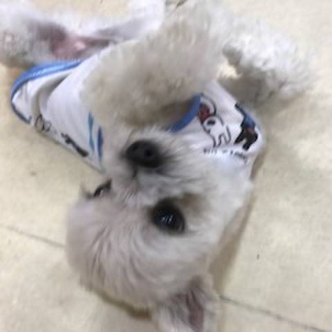 5a74577f aad0 43fd 867a 15b5806c2858