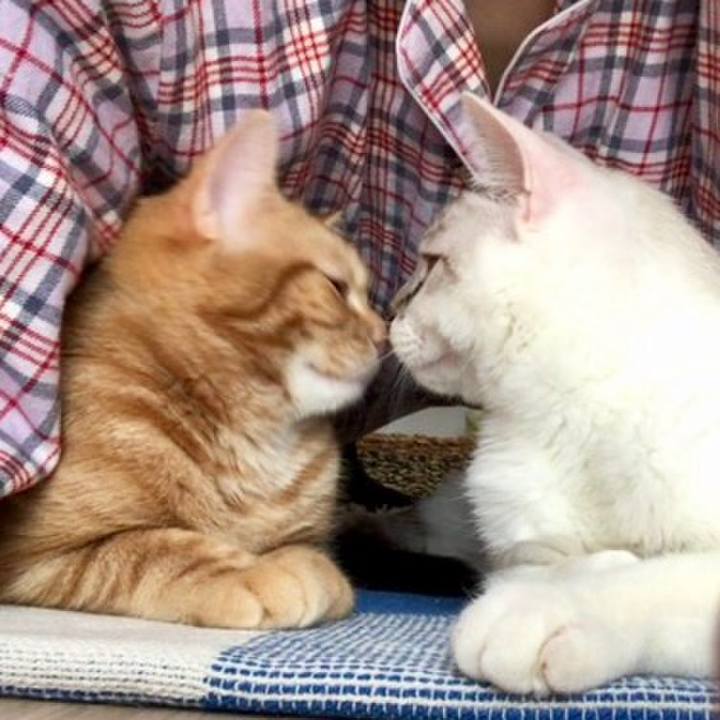 5a746743 175a 405b 9179 cad3a6f1d23e