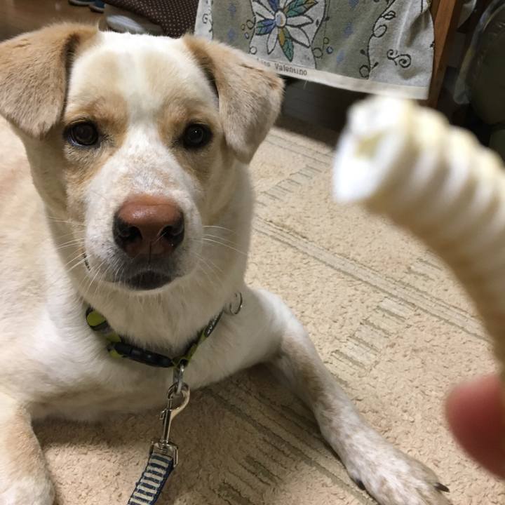 5a74afc4 0dd2 4164 afa9 2f61297deea2