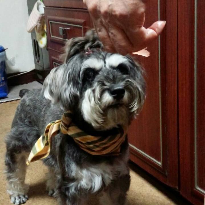 5a752a90 f77f 4b31 bce0 aa12aa41f72b