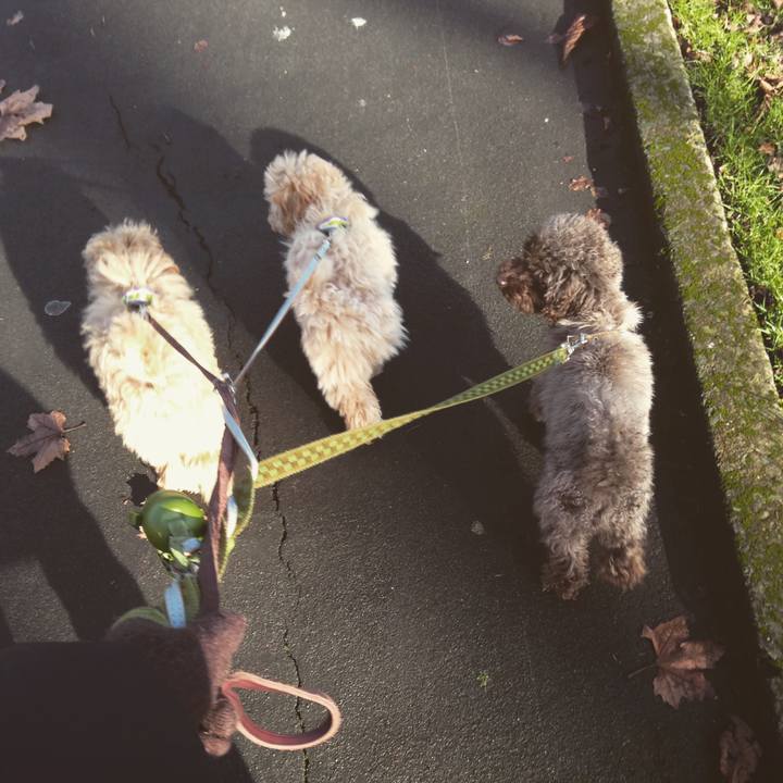 5a754000 c607 4d1a a504 f9b4fc478000