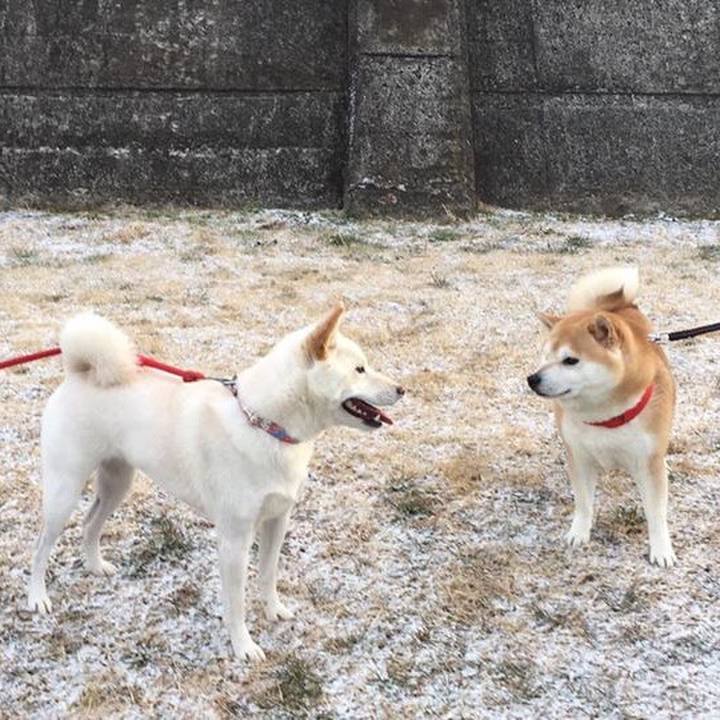 5a754c58 fb31 4976 a07b 060f8dfc8f5f