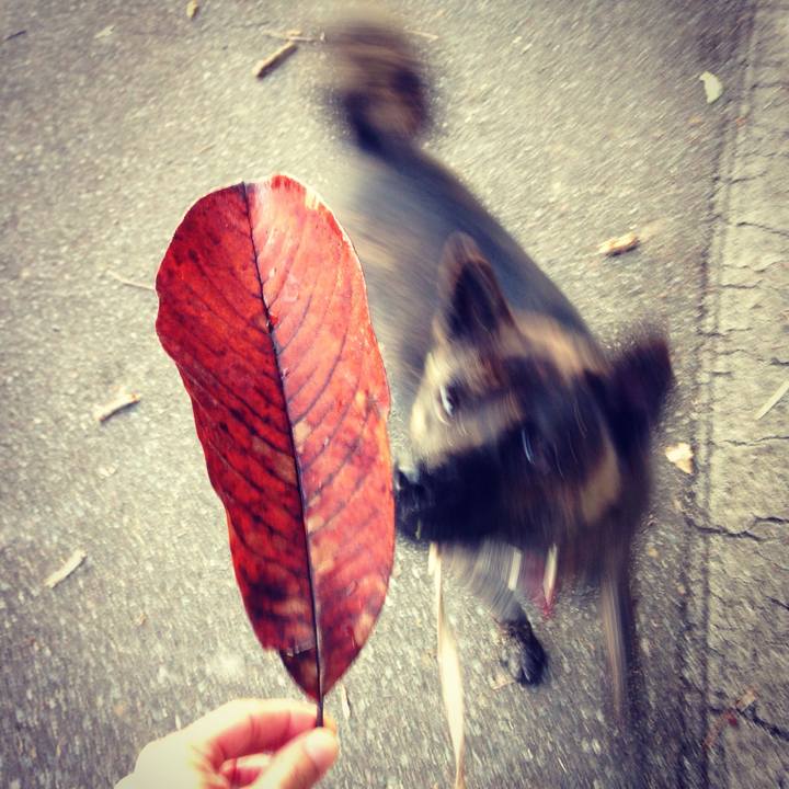 5a7575f7 8ce4 41e7 9253 ae0c18475196