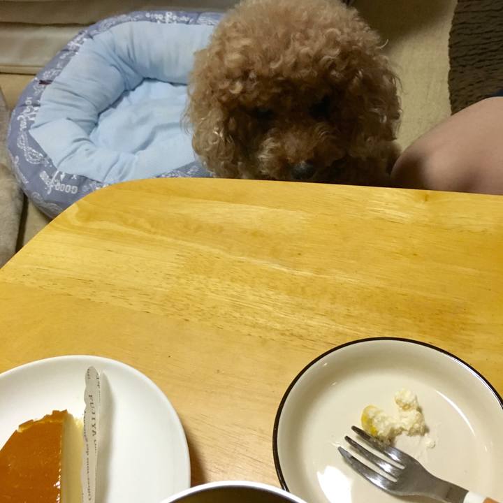 5a75a7c0 960b 46bc a9de 2b2b4f850817