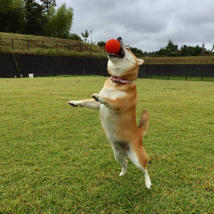 5a75f35d fd1d 4777 a918 18b92aa6db6c