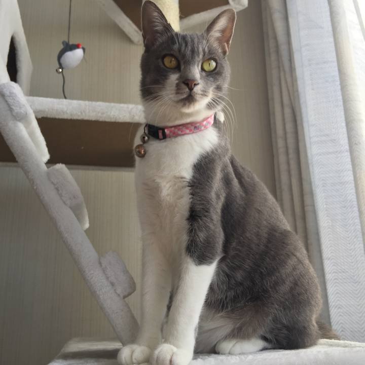 5a76d0d1 e4e8 4e5e a4a5 baa75e6d6634