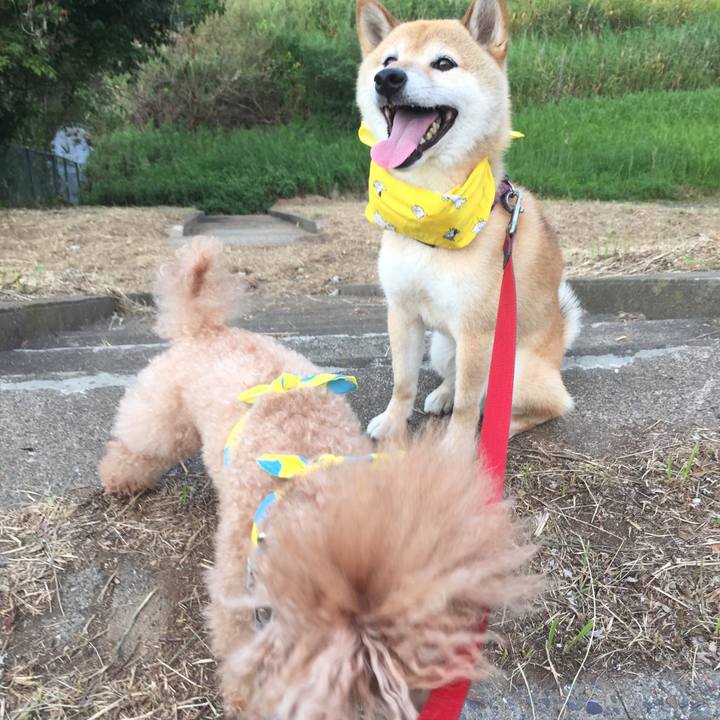 5a7709e6 026f 42e9 95cd 244a9d0afdeb