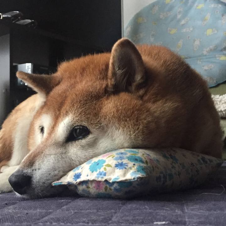 5a7714e4 4dea 4f80 b09f d8f83f1d277d