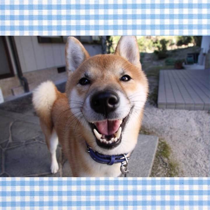 5a77a8d6 93e1 4420 9892 5f058c295eff