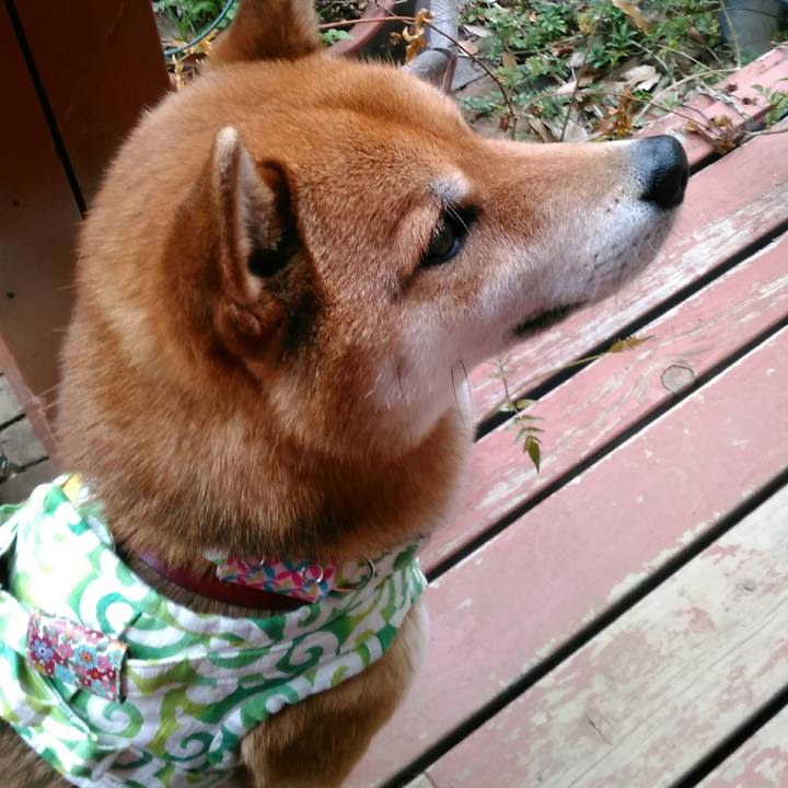 5a77e41e 75b1 4018 806b a21963b6277a