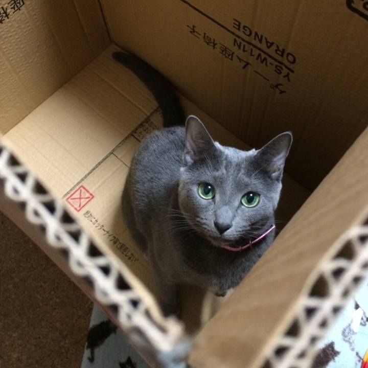 5a7820c0 62d0 430e a282 97a71c9bcc42