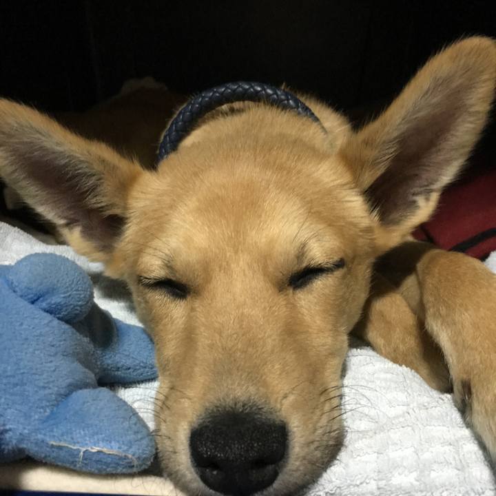 5a78637e ed87 44dd a316 2f97fde93682