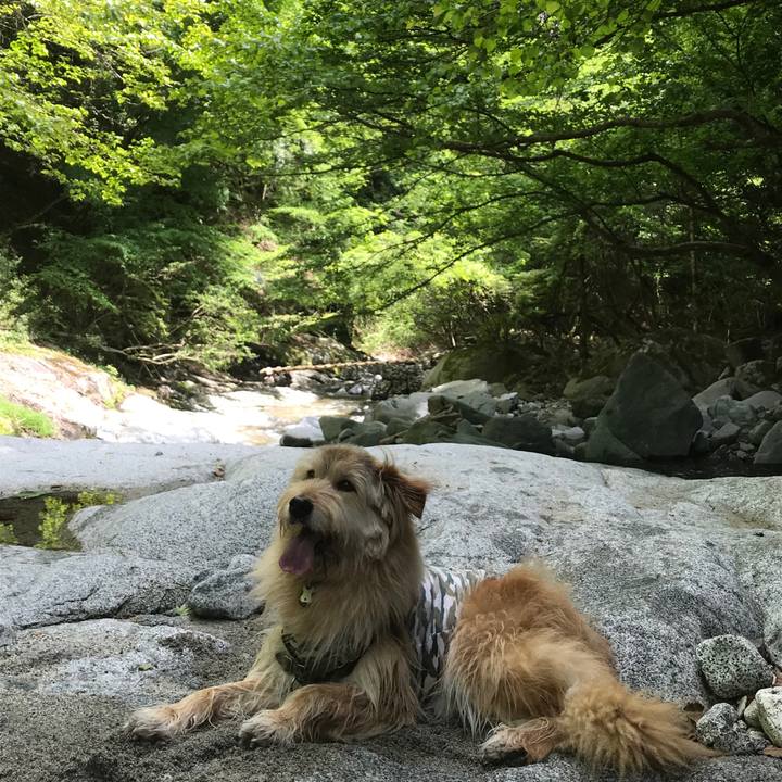 5a78a421 57b3 4e44 983a f83462dc1afd