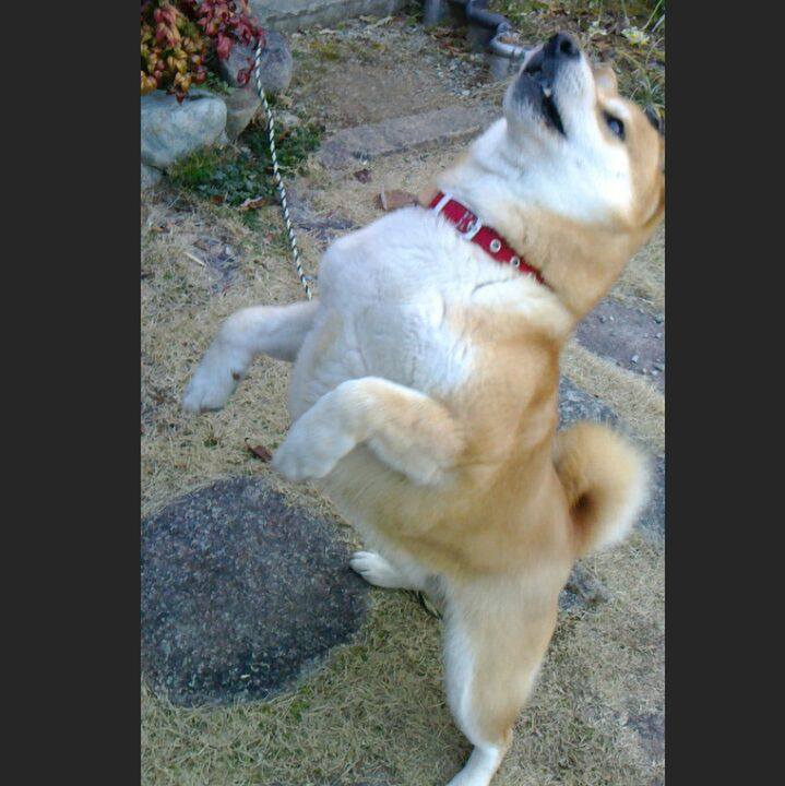 5a78c1b0 51d1 4b57 b4c1 4baf5766a2d1