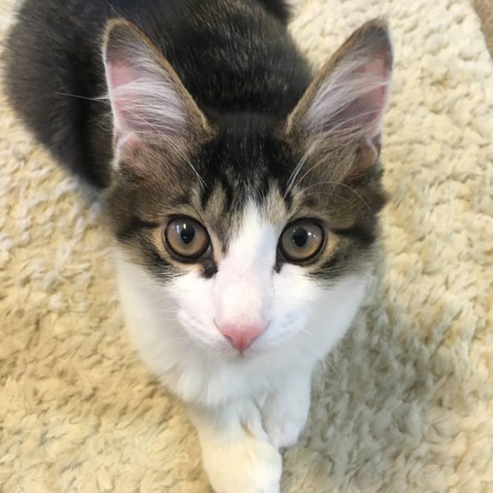 5a790416 35c8 4ee6 bdb1 690df96a6c52