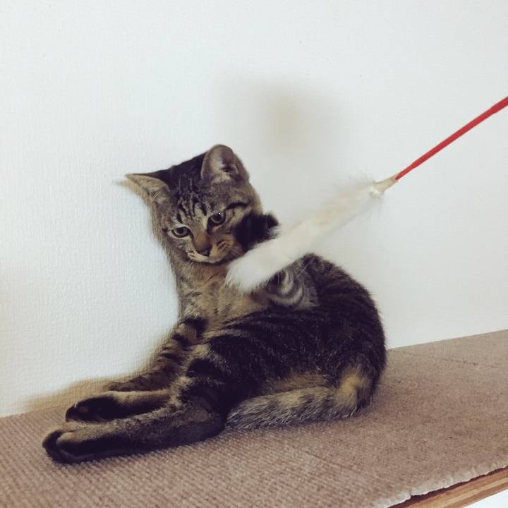 5a7923db 04be 4ff1 86f1 b9c5110d8fd5