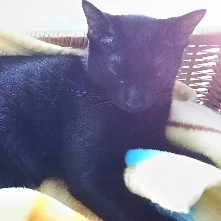 5a797781 8932 44ee ade0 afecc1436945