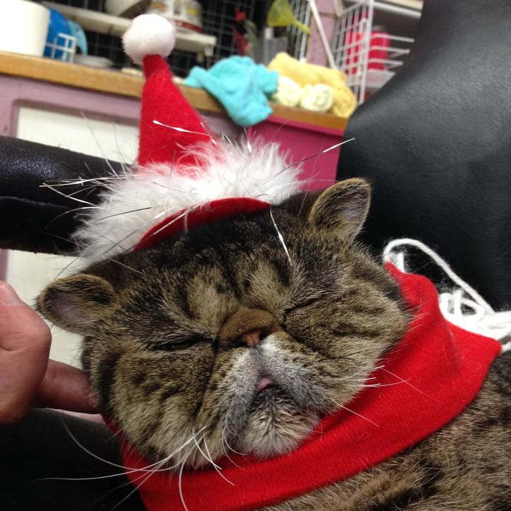 5a79f5d5 6cd4 4f75 960b f60623df2afd