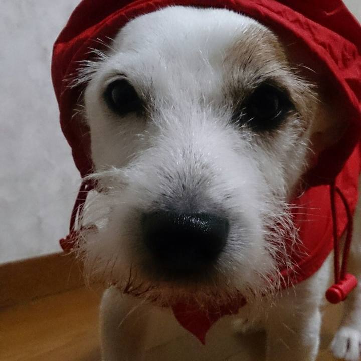 5a7b9320 0867 48d1 bdaf 6f9ecf98bf69