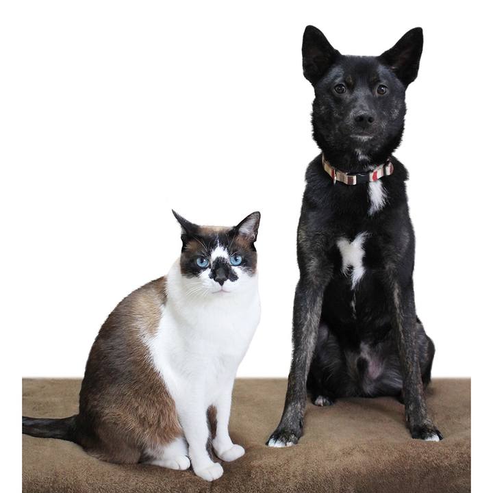 5a7bd4ee f9e7 4bd0 8ff6 2750b73c7325