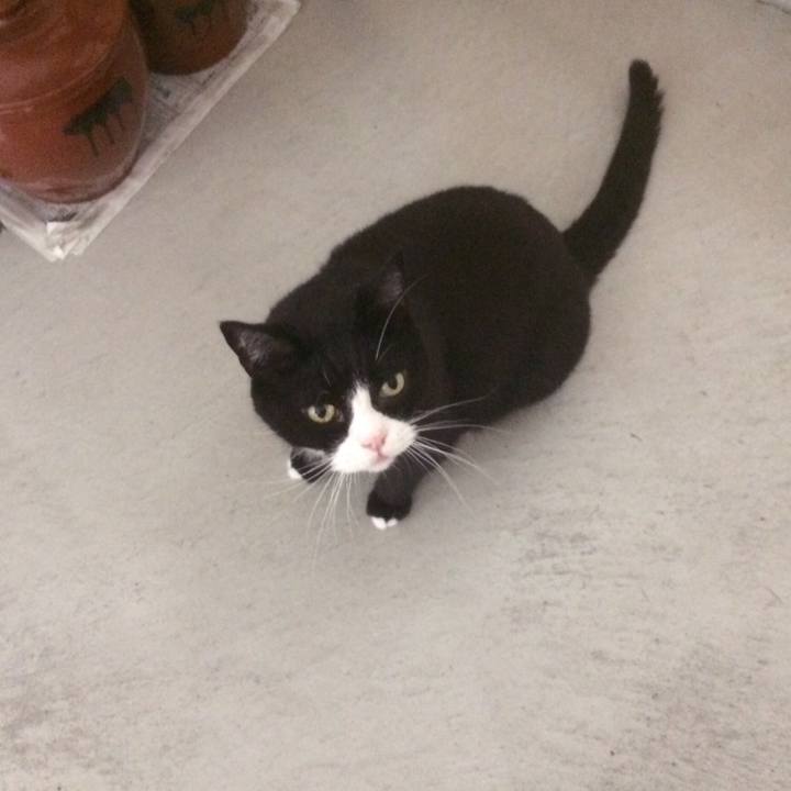 5a7cb779 b3d7 4b38 8f7d b2bd87e6c400