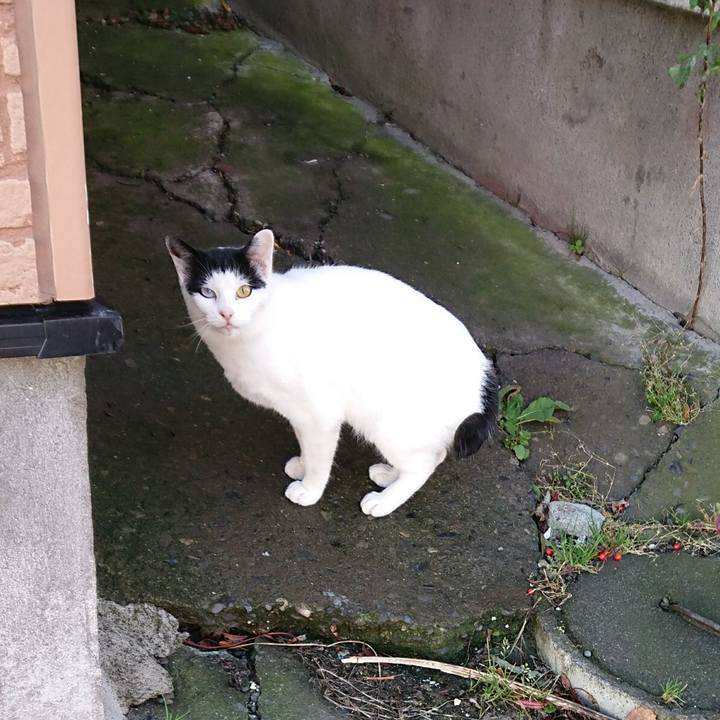 5a7d527f a8c1 4fc8 8046 429b01629f73