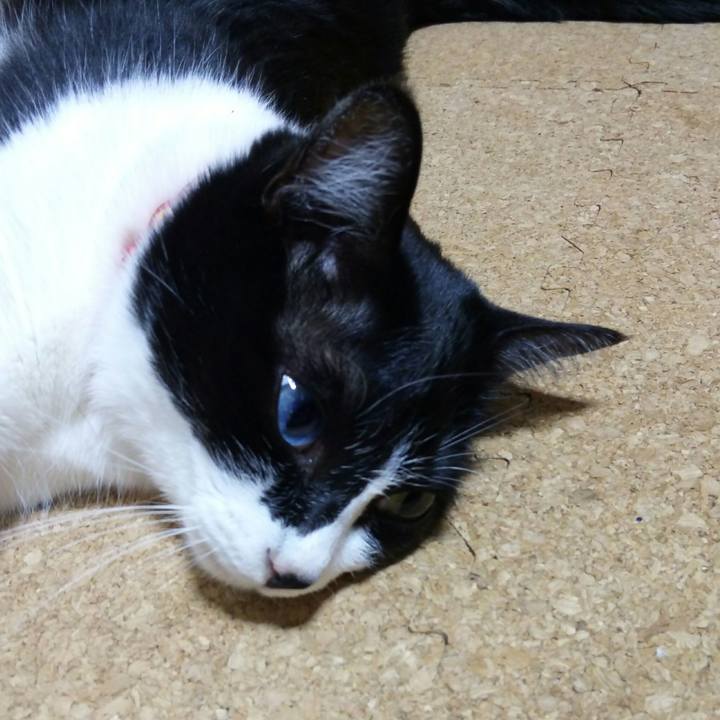 5a7f76fc 4e7c 4f98 ae52 982a573a1a73