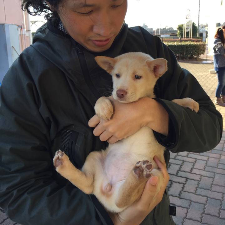 5a7fa4c6 3f9d 46fb 8b3f 5ef3f6cb4f3b