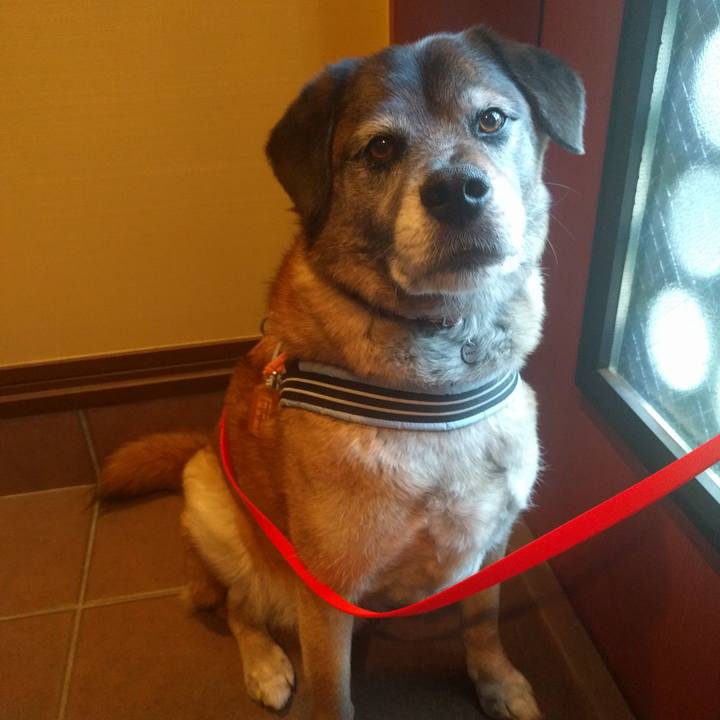 5a8095f6 c800 476a ba78 33616183355b