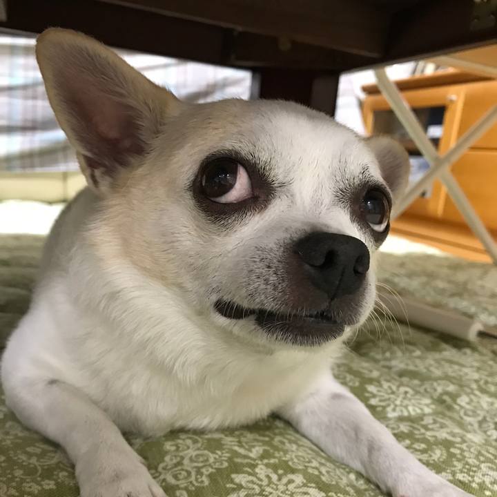 5a8140fb e24c 4eaa ad13 a8bb14cb4869