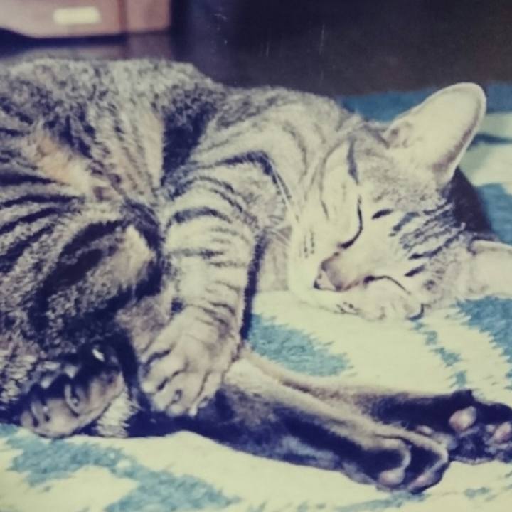 5a818184 3bf4 448d a916 1b682ae5e75b