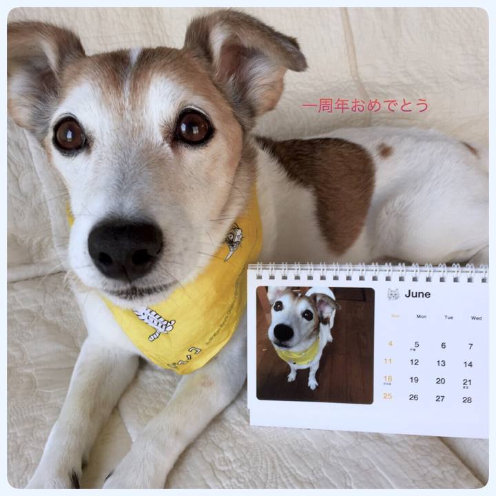 5a824e00 fdf7 4d60 9fa3 31a0e1b406d6