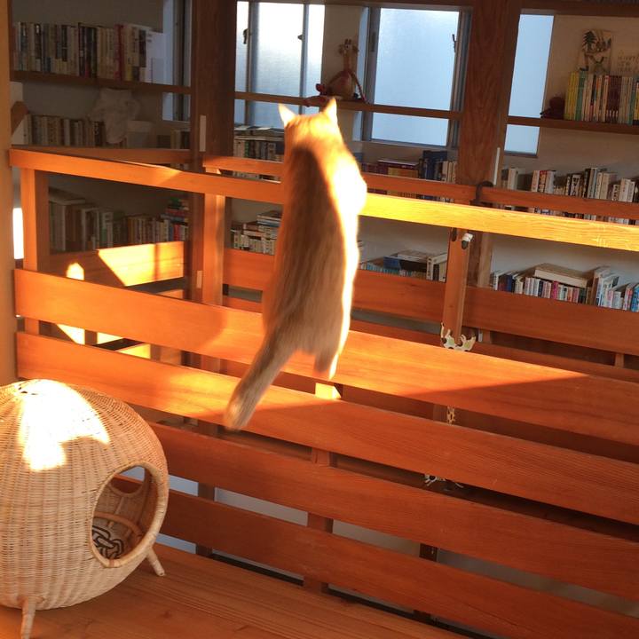 5a826f54 bb6f 4292 ad97 ee611a986968