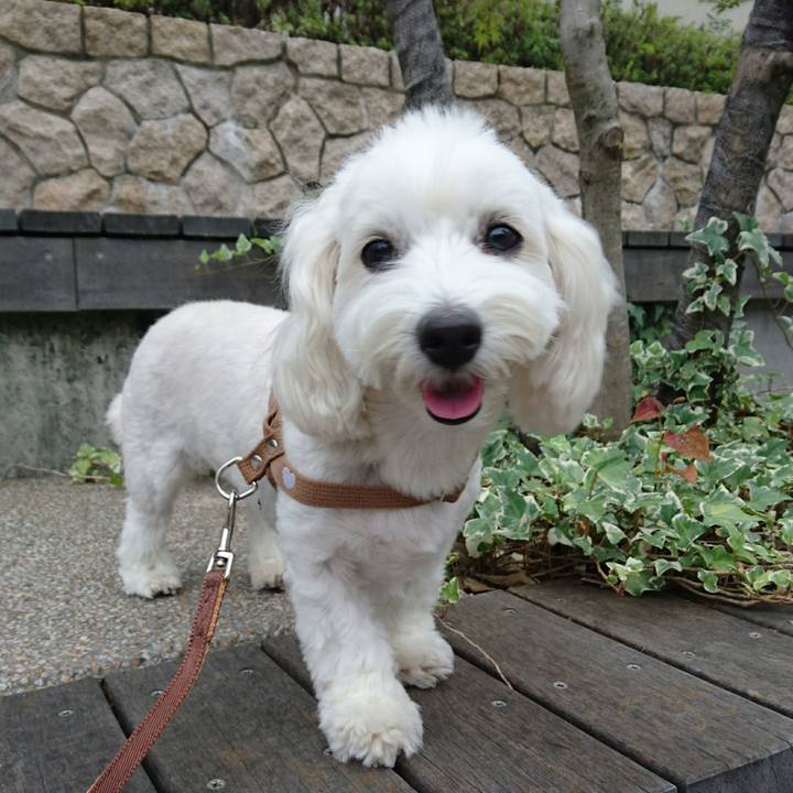 5a82f6dc e686 4578 80af 068c7cb0076c