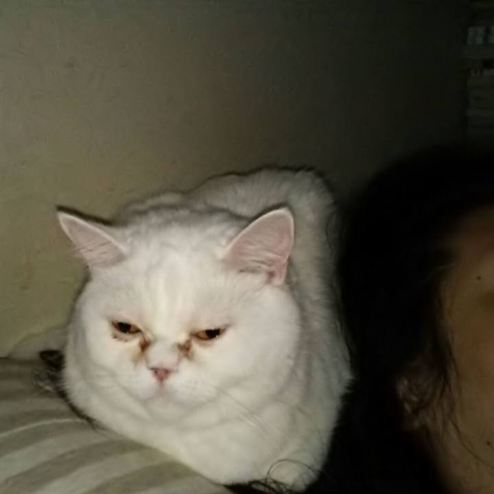 5a82fc48 3210 441a a706 f6251ccadc1d