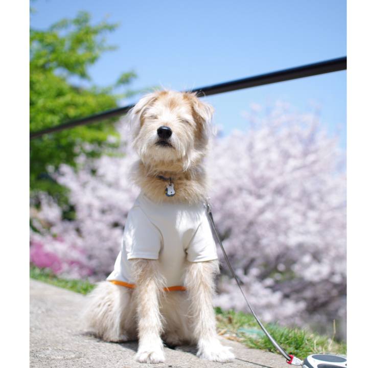 5a834052 3af4 4ca3 bd3f d6414910a8c9