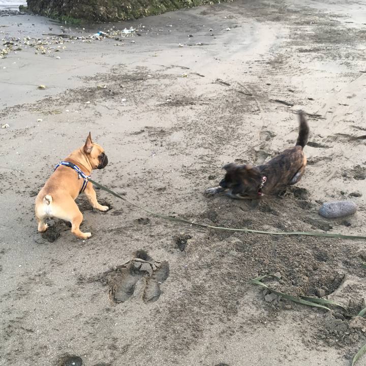 5a835b92 f60b 4923 8c57 e5250edc79d0