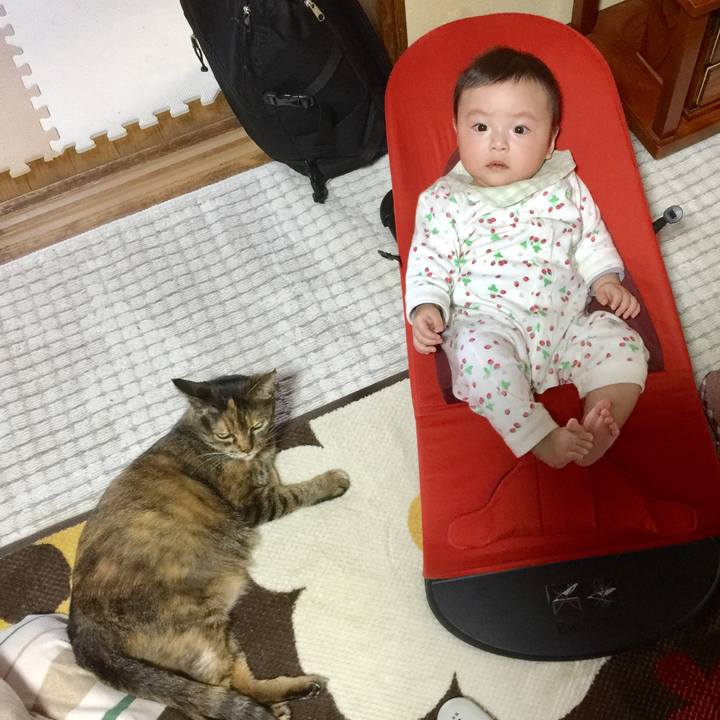 5a846e94 7c7b 4c31 b4c7 bfd01ce2f8f4