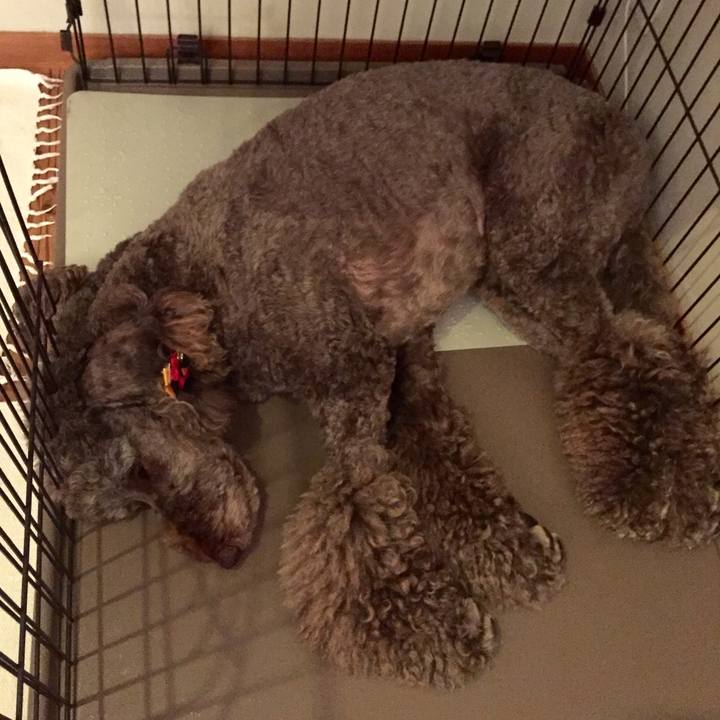 5a849418 2594 43fc b7a6 31e03cee8977