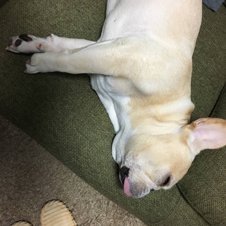 5a849c77 fb2a 4c65 9b60 e00a034f270f