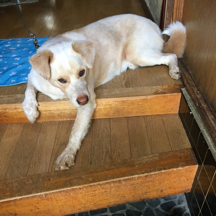 5a849e12 3a22 4b43 a124 75a37af086ec