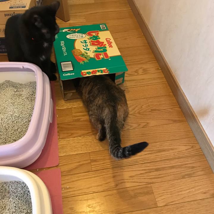 5a84bfb8 eaf3 49a7 8f73 9bb69051b396