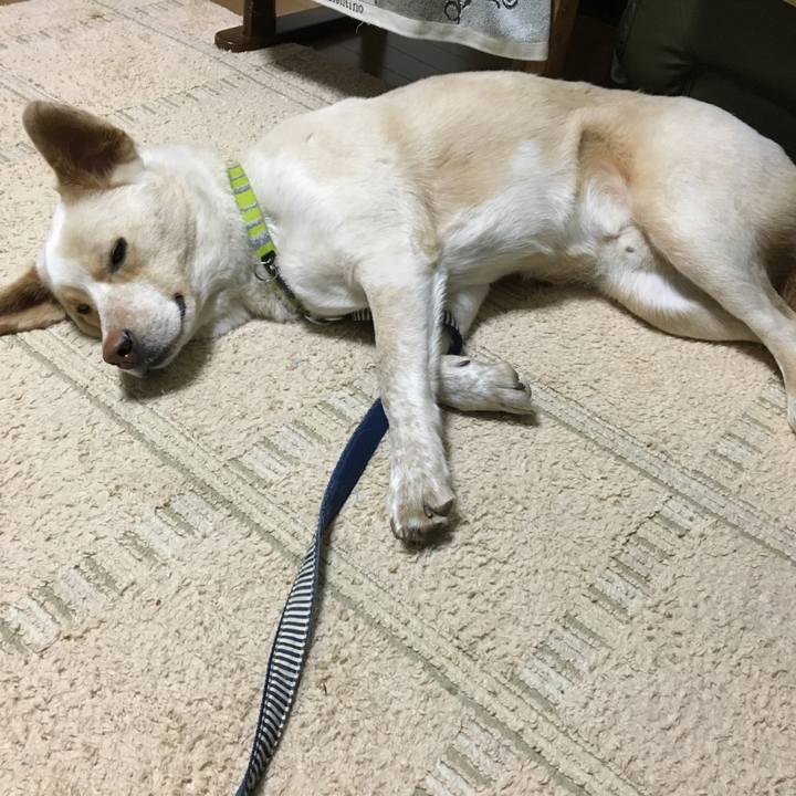 5a85b658 025f 417a a63d 0f584f2ced97