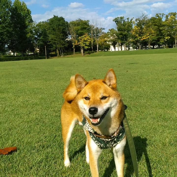 5a8622dc eecb 4065 be05 4140d3e9df52